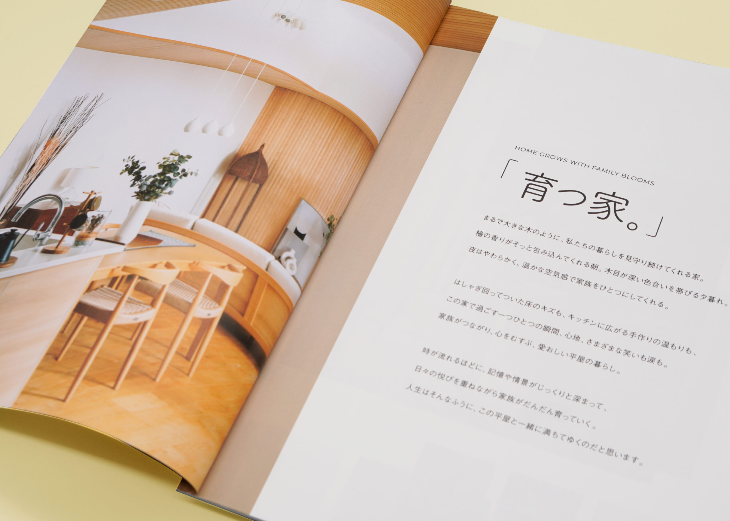 谷川建設 平屋コンセプトブック