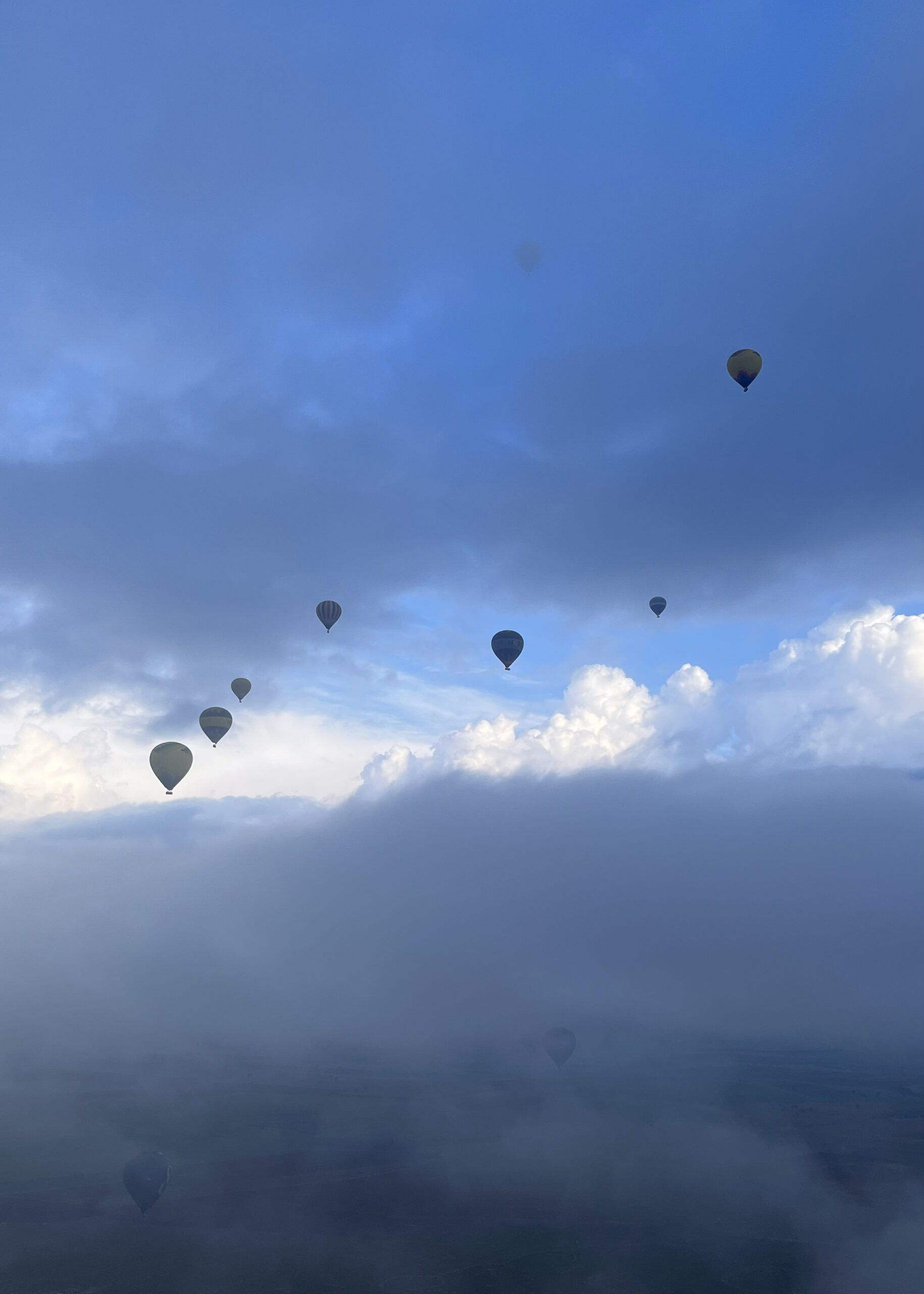 研修旅行に行ってきました〜2025〜　vol.2