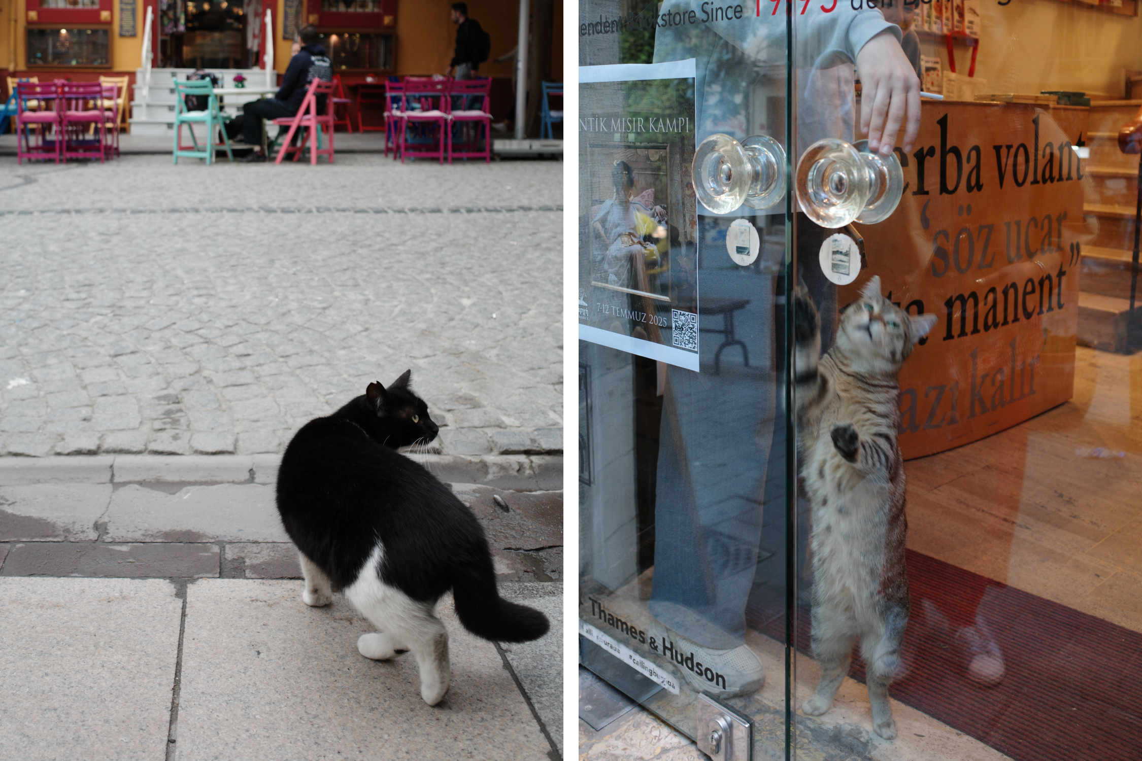 研修旅行に行ってきました〜2025〜 vol.3