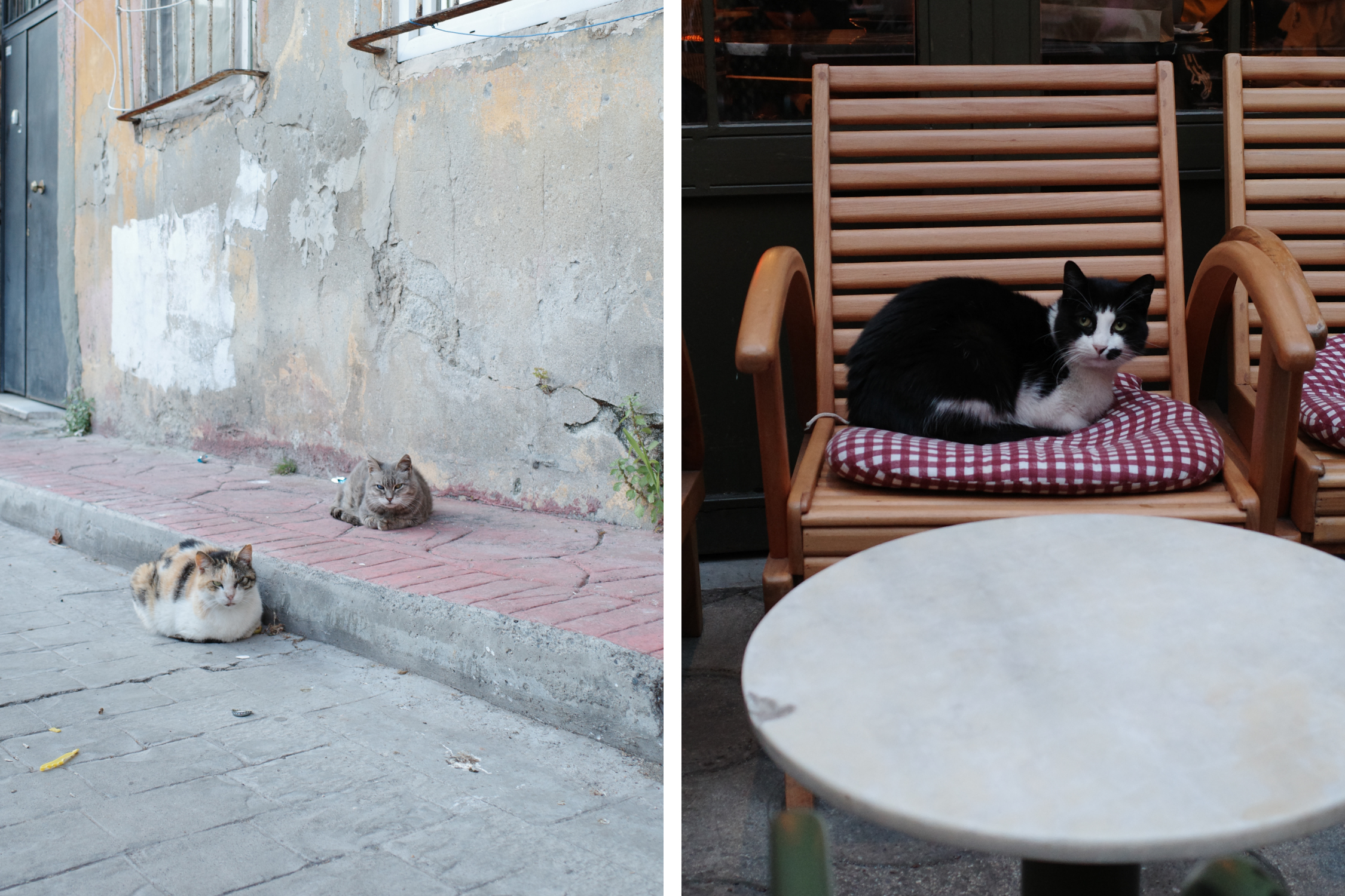 研修旅行に行ってきました〜2025〜 vol.3