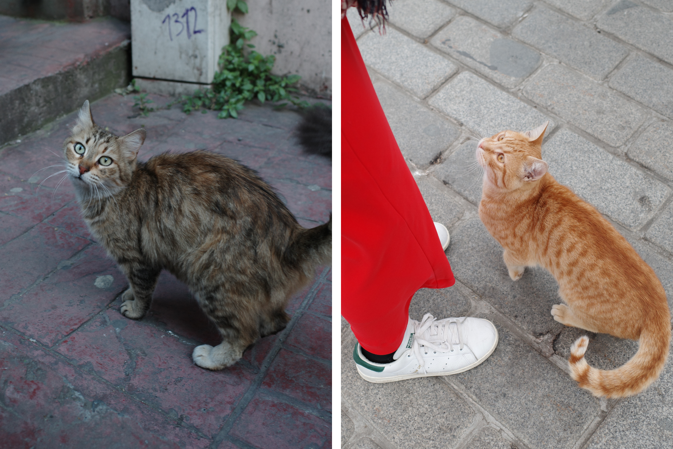 研修旅行に行ってきました〜2025〜 vol.3