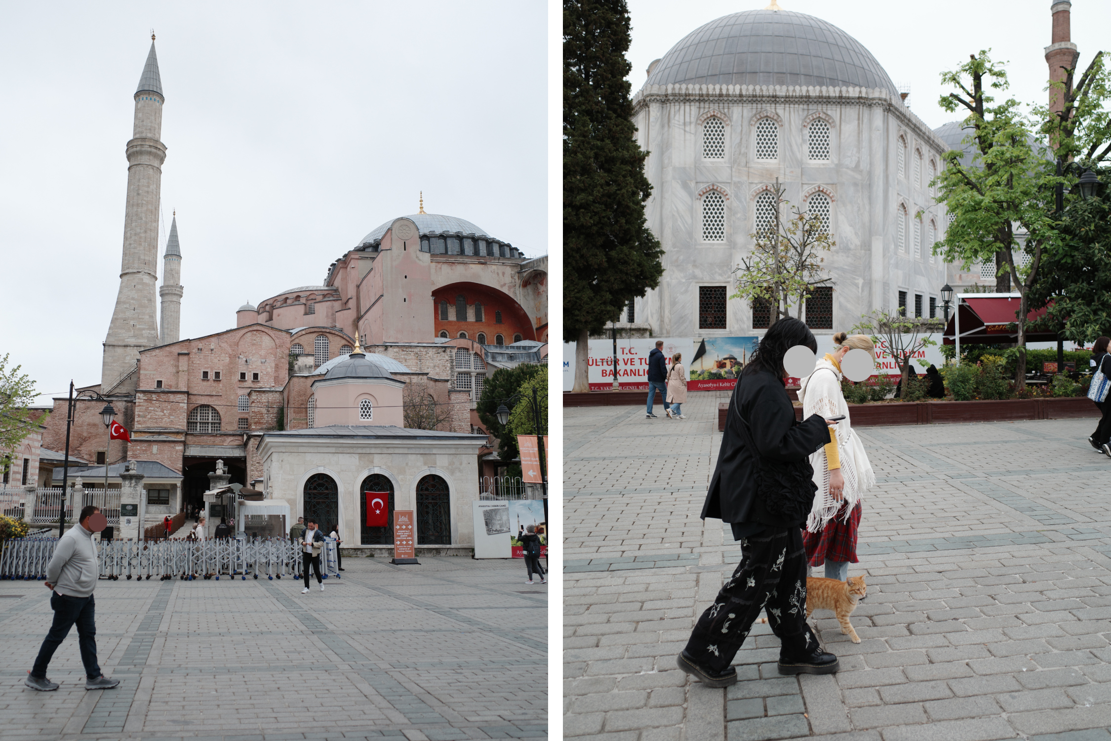 研修旅行に行ってきました〜2025〜 vol.3