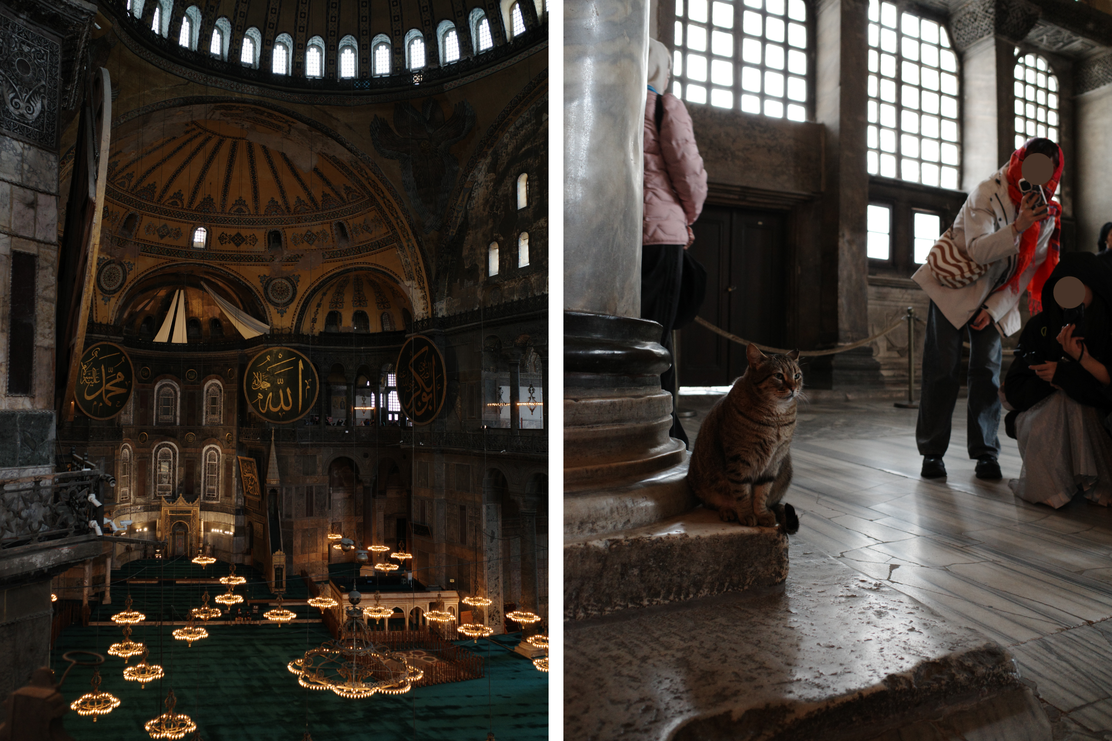 研修旅行に行ってきました〜2025〜 vol.3