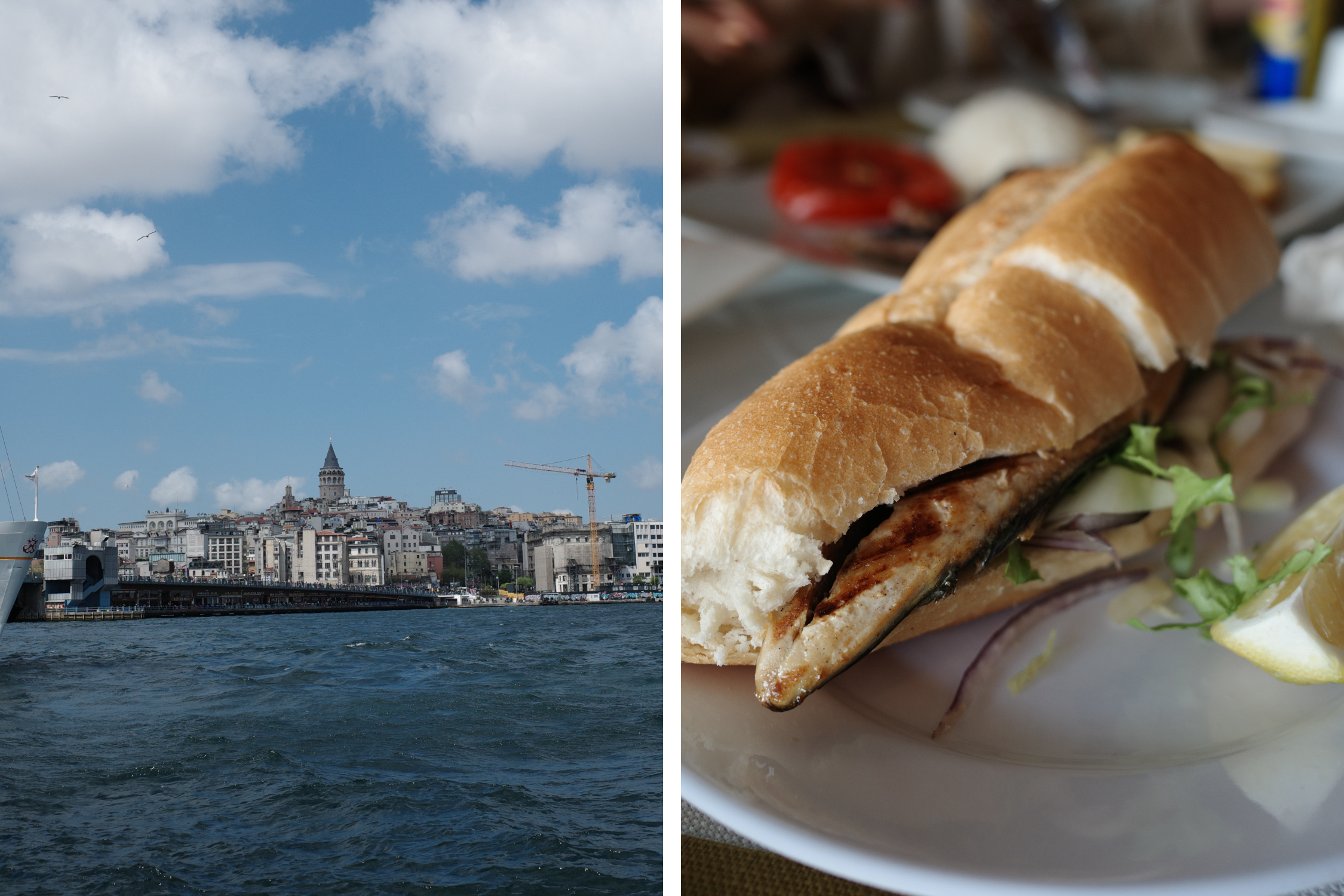 研修旅行に行ってきました〜2025〜 vol.3